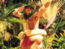  Oahu Activities